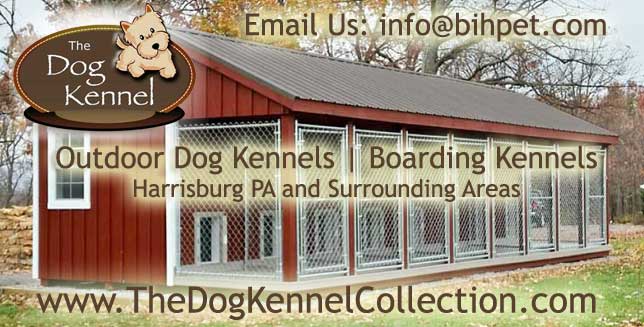 best boarding kennels for dogs near me